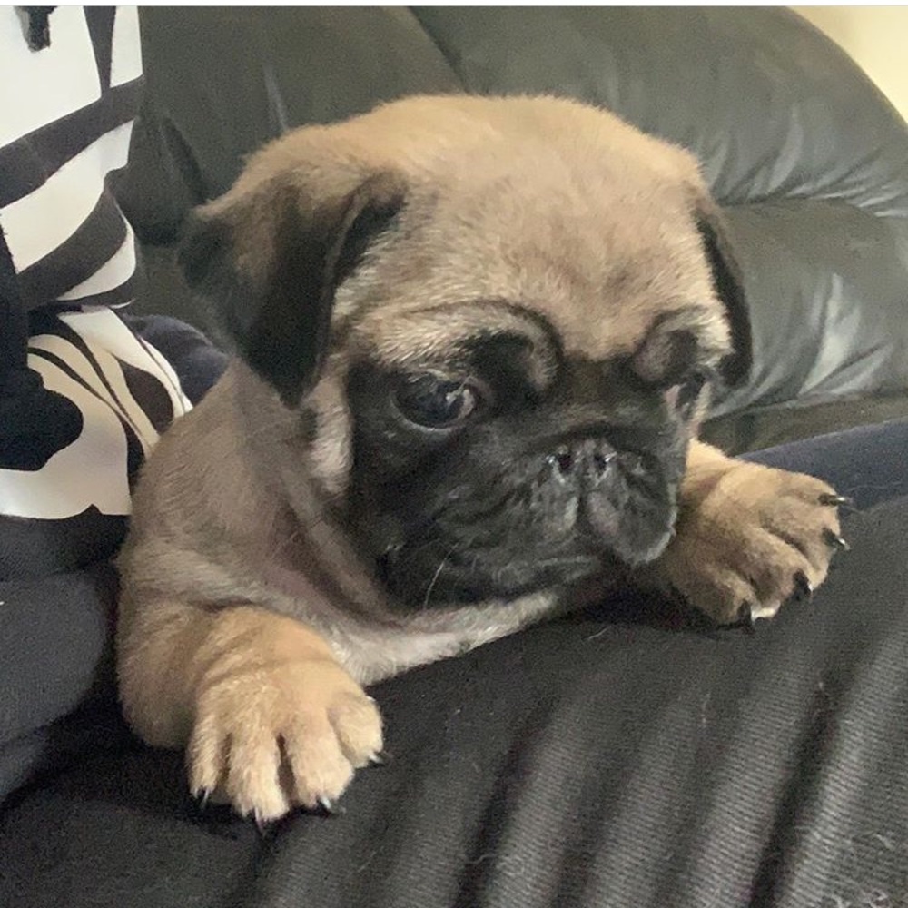 Meet your Posher, Natalia